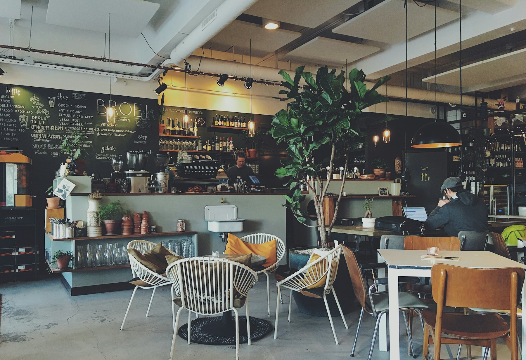 Inside Caffè Meraki — warm café interior with plants